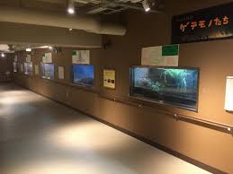 asahikawa-zoo